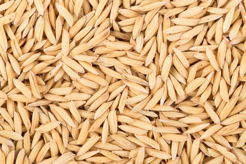 Why Canary Seeds Are Ideal for Gluten-Free Diets