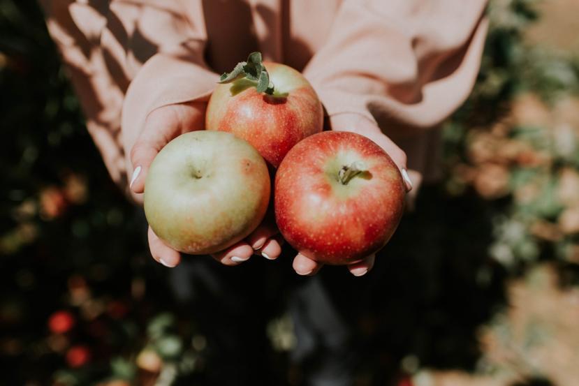 What Happens to Your Body When You Eat Apples?