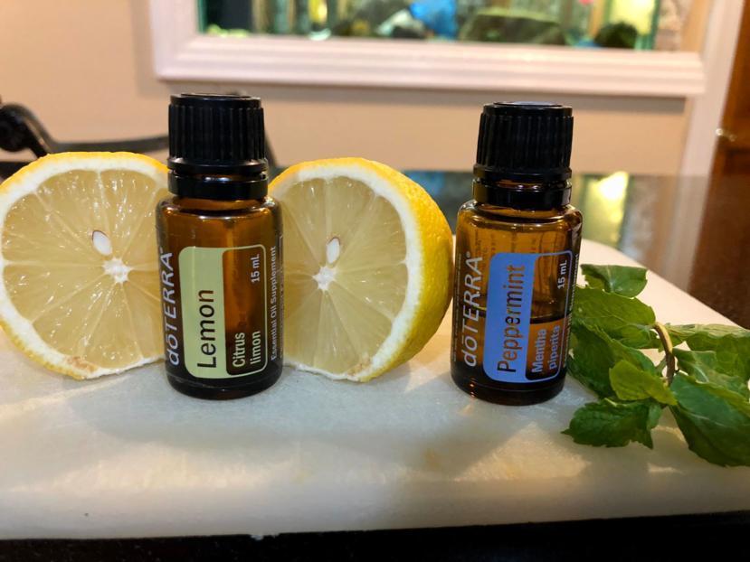 Whole Plant Medicine with Essential Oils by Lisa Profera MD