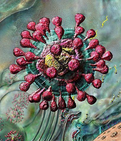 Newborns and the Microbiome