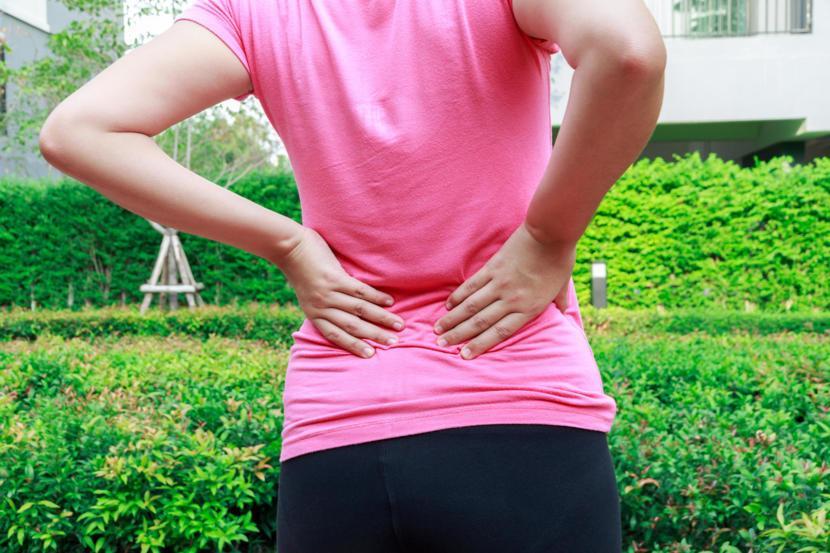 Explanation of Lower Back Pain