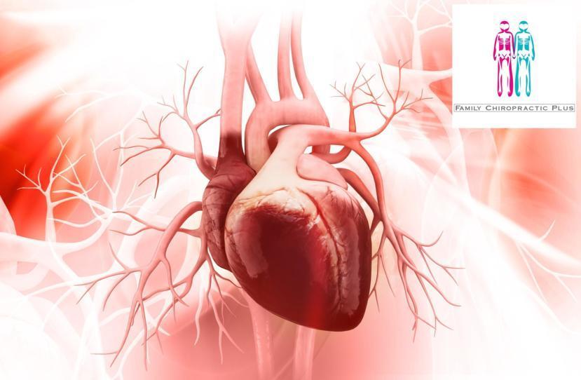 The Importance of Magnesium and Heart Health