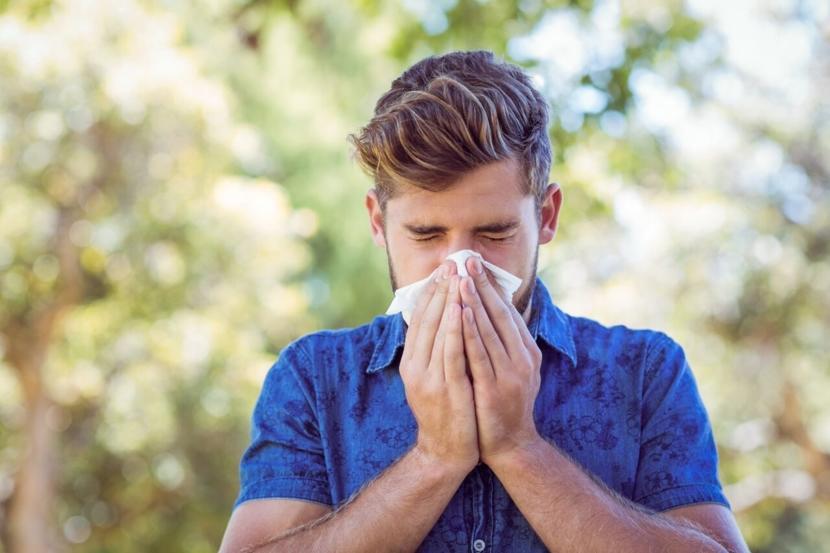 Cold vs. Allergy: How to Tell the Difference?