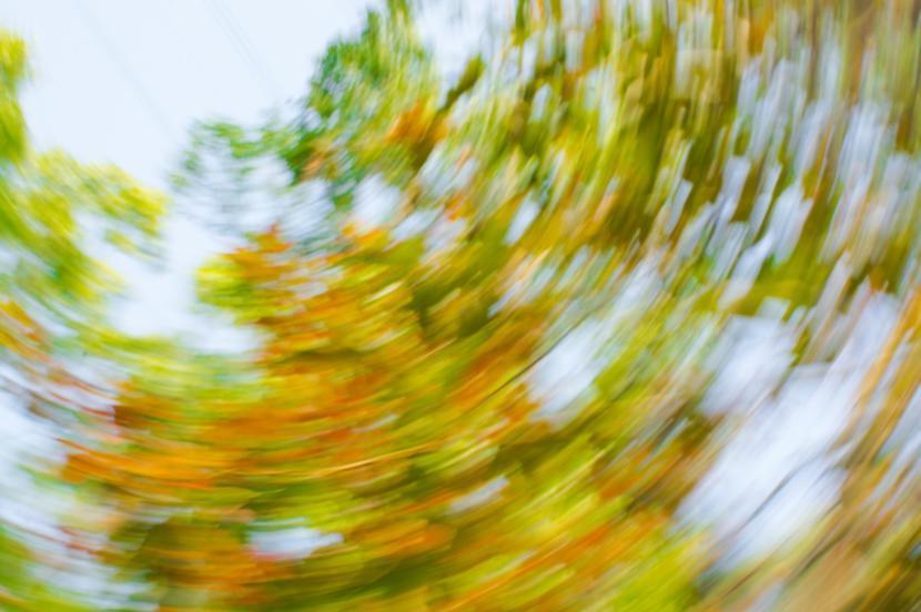 Benign Paroxysmal Position Vertigo: What is it?