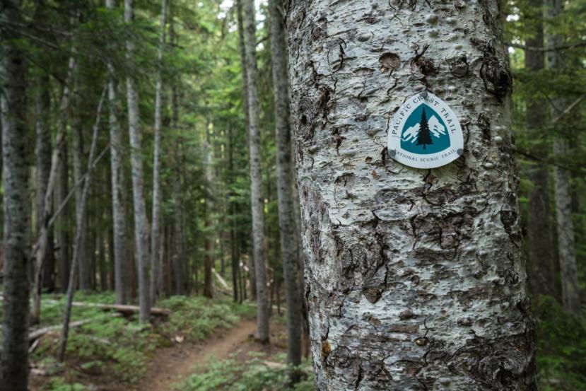 Inspiring Tale of a Lupus Patient Who Hiked the Pacific Crest Trail