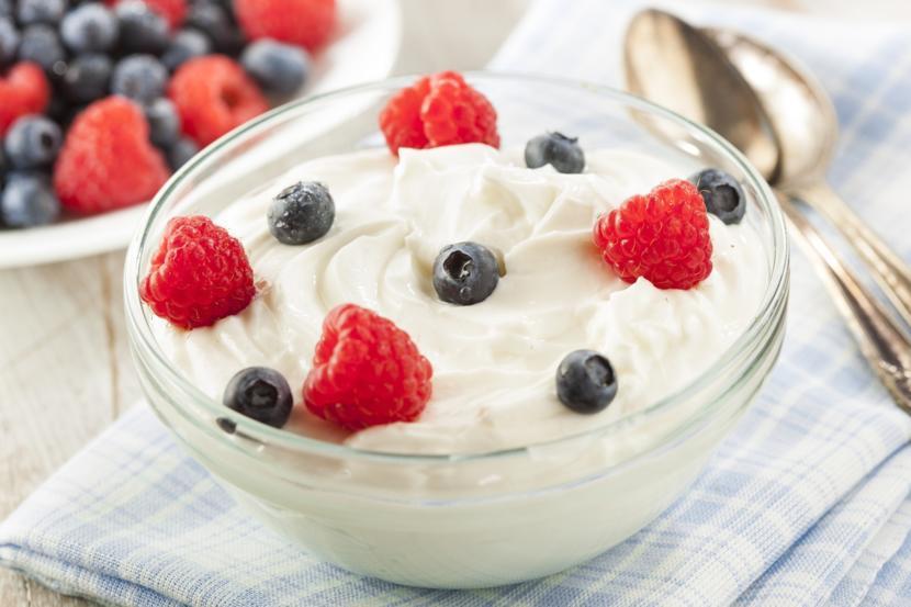 Yogurt Bacteria Responds Well to Lupus Disease in Mice