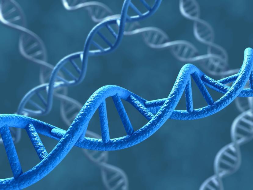 New Genetic Markers for Lupus Identified in Multi-Ethnic Study