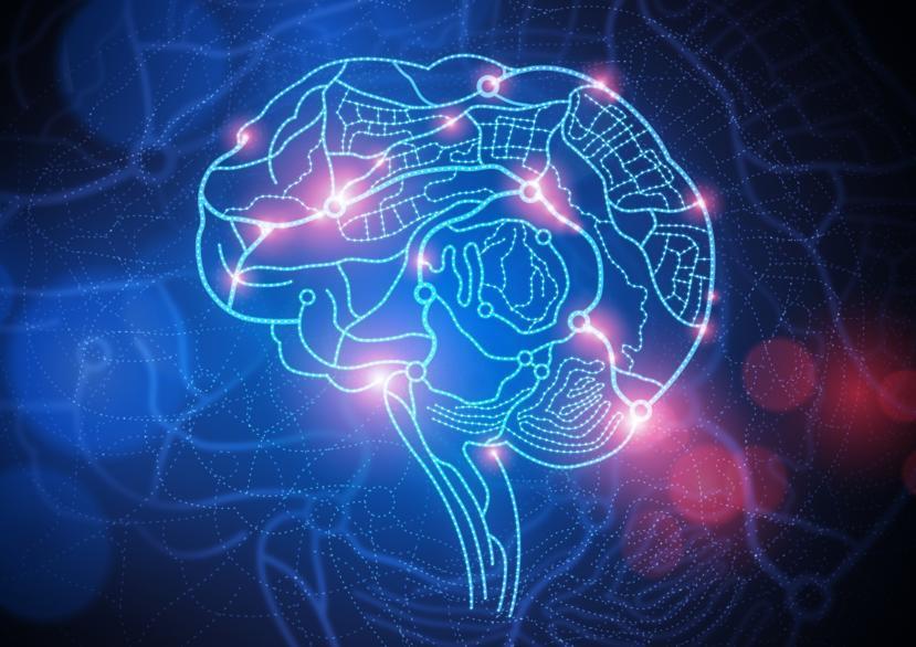 New Research Observes Link Between Multiple Sclerosis and Cognitive Function