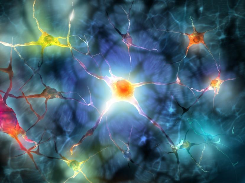 Single Protein Linked to Diabetic Nerve Pain