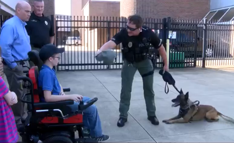 10-year-old Receives a Special Wish Through Pay It Forward Networking