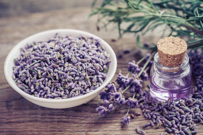 The Different Lupus Rash Treatments and How to Prevent Flare-ups