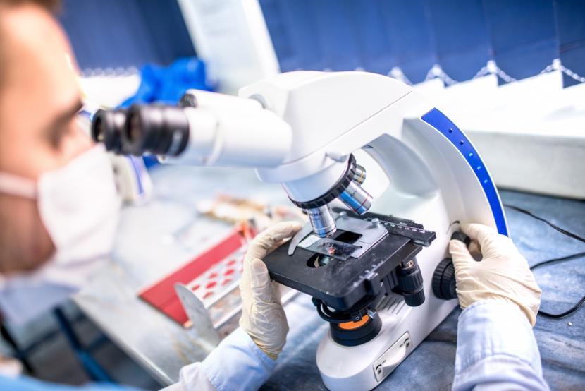 Tonsil Research Shows Promising Results for Lymphomas and Autoimmune Diseases
