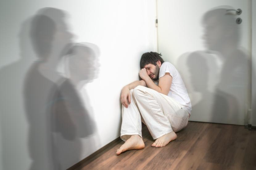 Understanding Hallucinations and Brain Disconnections in Parkinson's Disease