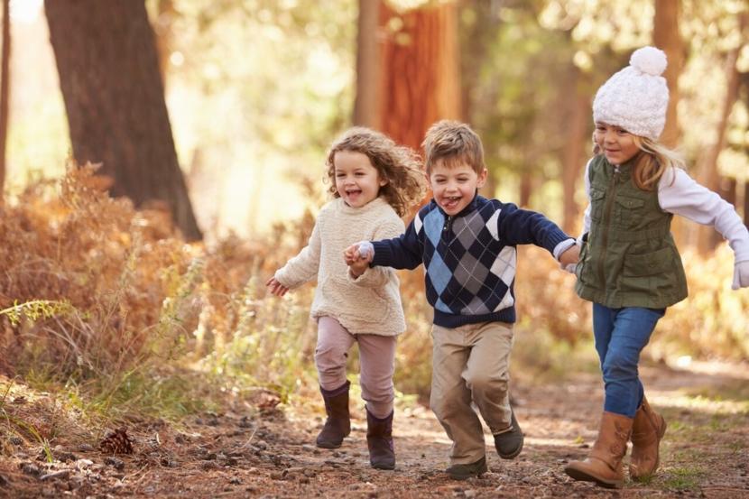 What is Head Lice: Get the Facts