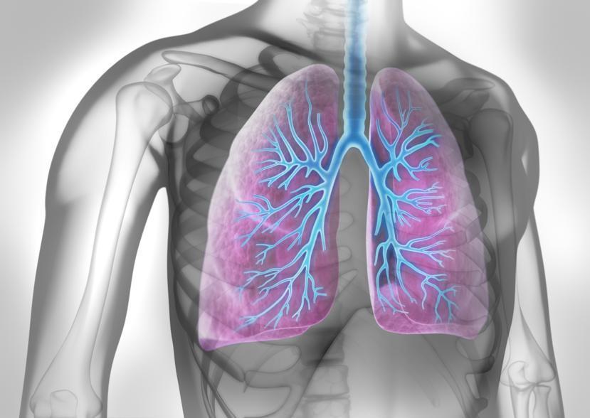 What to Do if You Have a Lung Injury