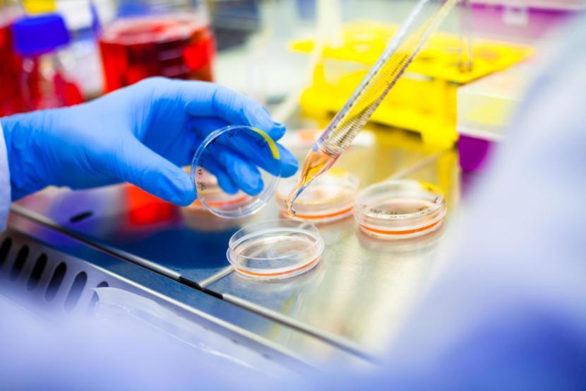 Woman with Multiple Sclerosis Finds Relief in Stem Cell Therapy