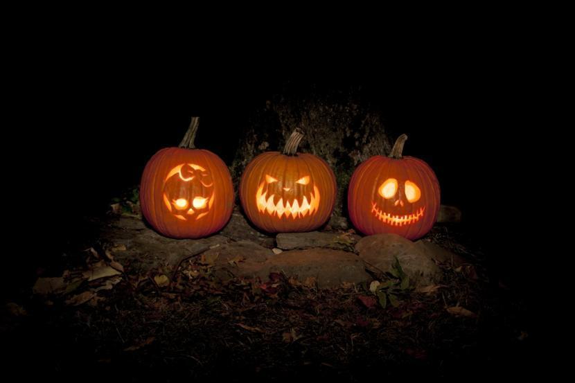 Horrors! Think Dull If Carving Pumpkins