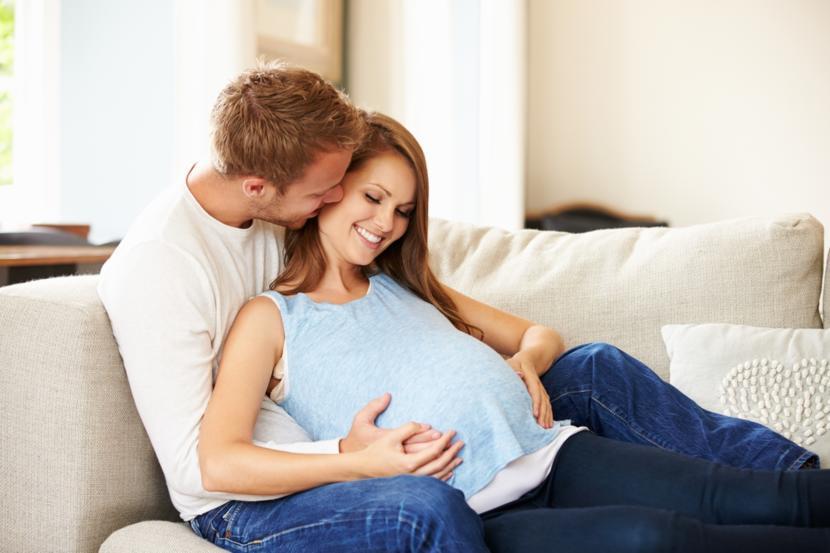 The ABCs of Human Pregnancy