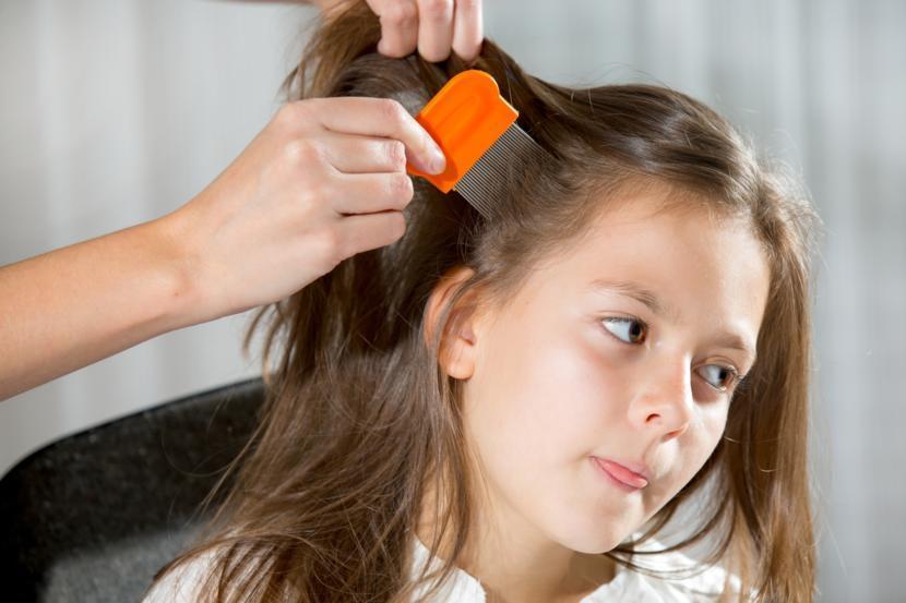 Understanding Head Lice Infestation