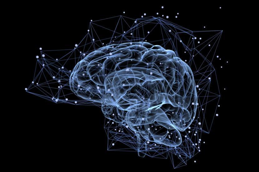 Why Exercise Matters to Your Brain