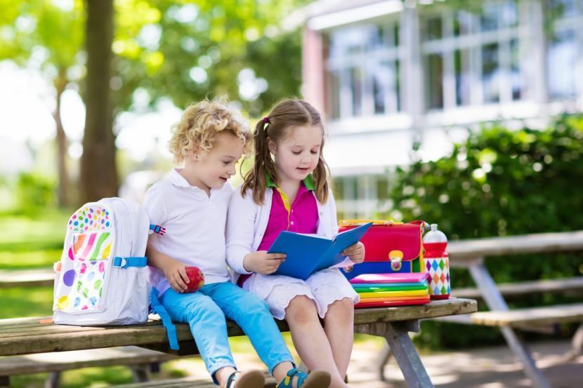 Diagnostic Tests for Autism Often Miss Features in Girls