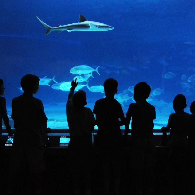Friendly Venues Accommodate Guests on The Autism Spectrum