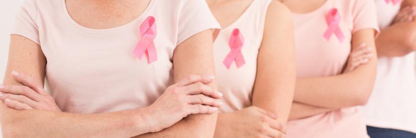 High-Fat Diet Linked to Increased Risk of Breast Cancer Across Generations