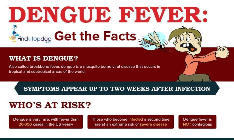 Dengue Fever Facts