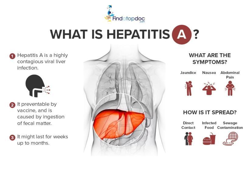 What is Hepatitis A?