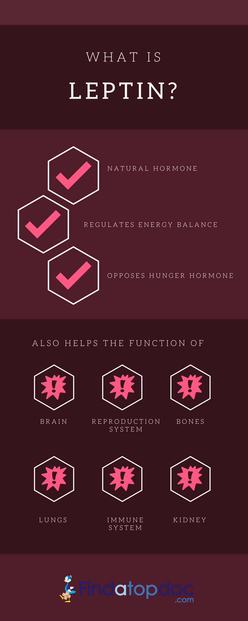 What is Leptin Hormone and supplements