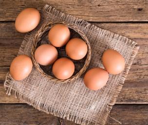 Substitute Egg for Cheese