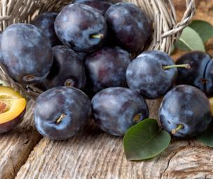 Substitute Plums for Apples