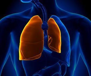 What is bibasilar atelectasis?